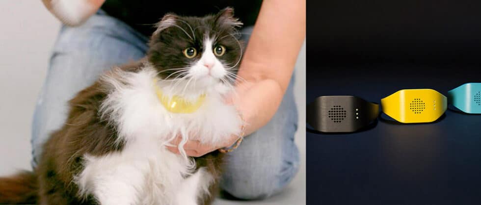 Catterbox Un Collier Qui Traduit Les Miaulements De Votre Chat